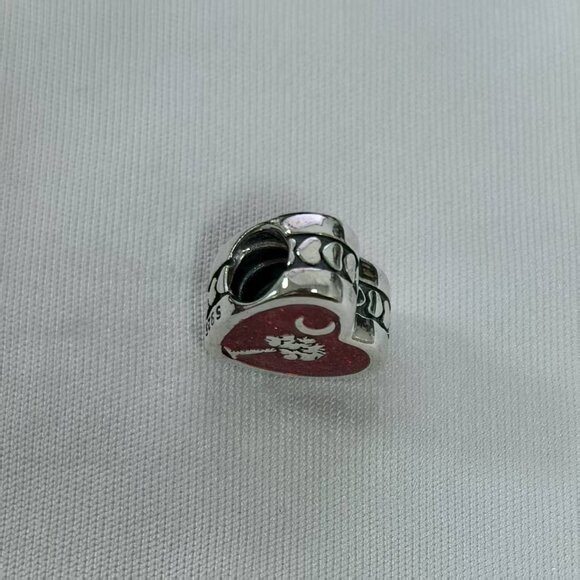 Pandora Charleston SC Exclusive Dangle Charm, S925 Silver Jewelry - Picture 4 of 4